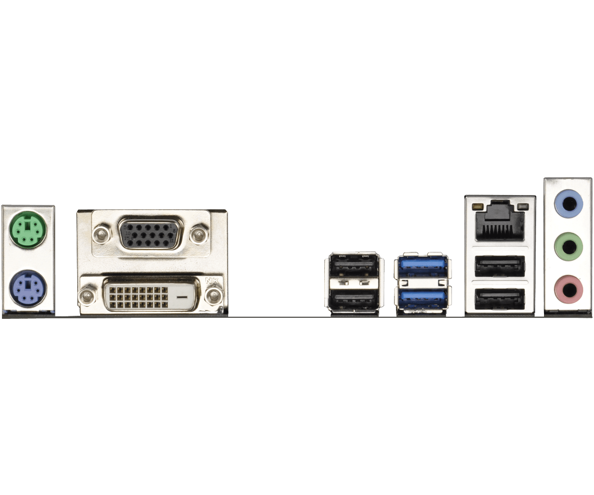 御家流 香道具 銘 友千鳥 伽羅 天然香木 約20g 極書 茶道具 お香 聞香 沈香 仏具 法具 【k19】 ペルクラ・クマノミ スノーオニキス L21 ±3cm